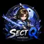 Sect Q